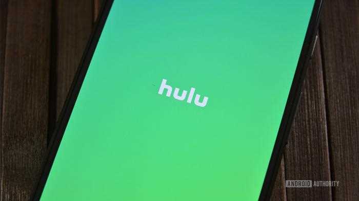 Как исправить сбой воспроизведения Hulu: полезные советы и рекомендации